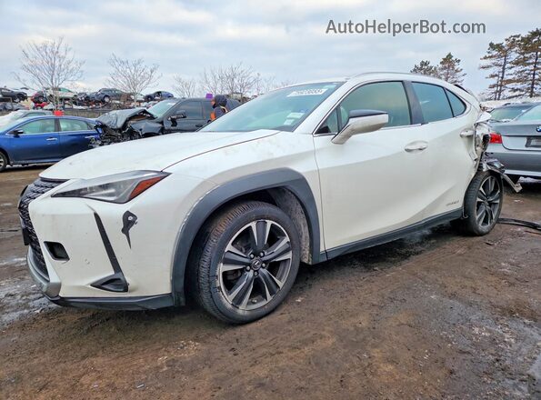 JTHP9JBH4L2025830 2020 LEXUS UX Белый Передняя левая четверть