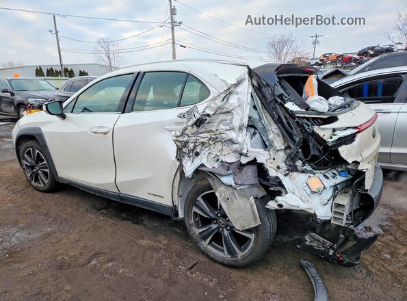 JTHP9JBH4L2025830 2020 LEXUS UX Белый Задняя левая четверть