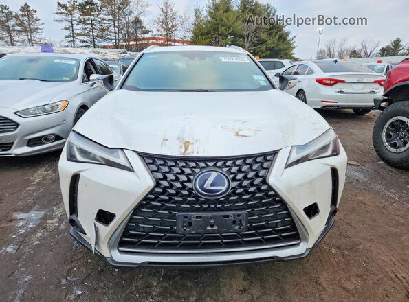JTHP9JBH4L2025830 2020 LEXUS UX Белый Вид спереди