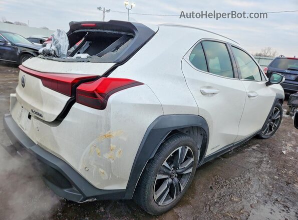 JTHP9JBH4L2025830 2020 LEXUS UX Белый Задняя правая четверть