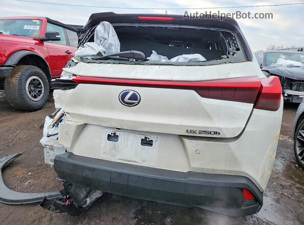 JTHP9JBH4L2025830 2020 LEXUS UX Белый Вид сзади