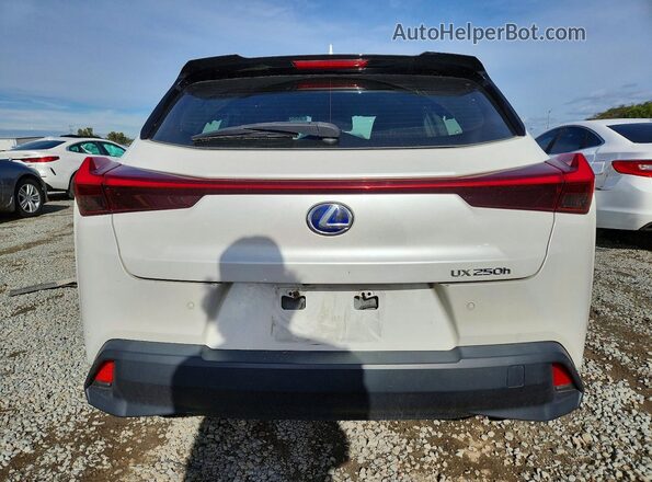 JTHP9JBH6L2032374 2020 LEXUS UX White Rear view