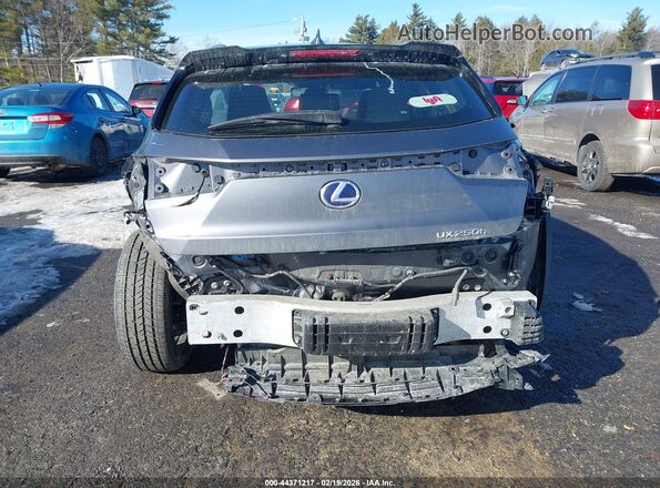 JTHP9JBH7M2042137 2021 LEXUS UX 250H Gray წინა ხედი