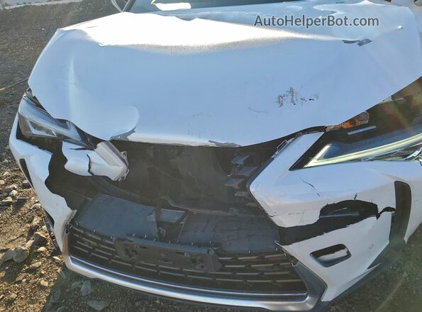JTHP9JBHXL2035004 2020 LEXUS UX Белый Вид задней части салона