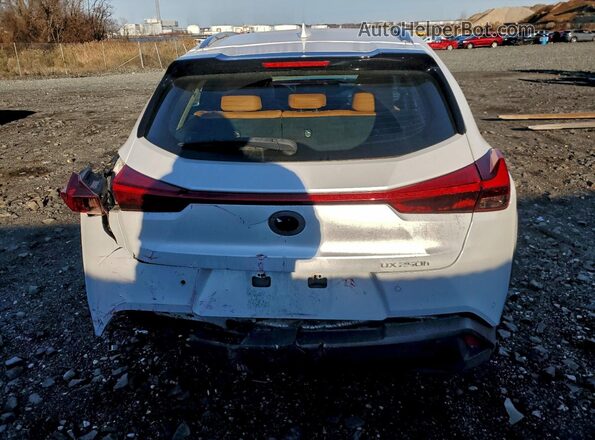 JTHP9JBHXL2035004 2020 LEXUS UX Белый Вид сзади