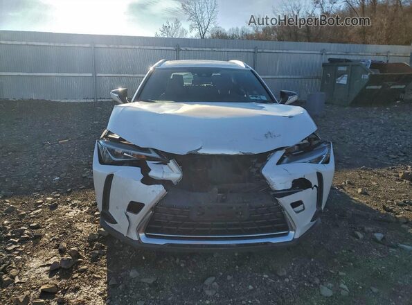 JTHP9JBHXL2035004 2020 LEXUS UX Белый Вид спереди