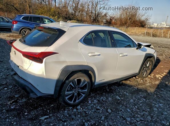 JTHP9JBHXL2035004 2020 LEXUS UX Белый Задняя правая четверть