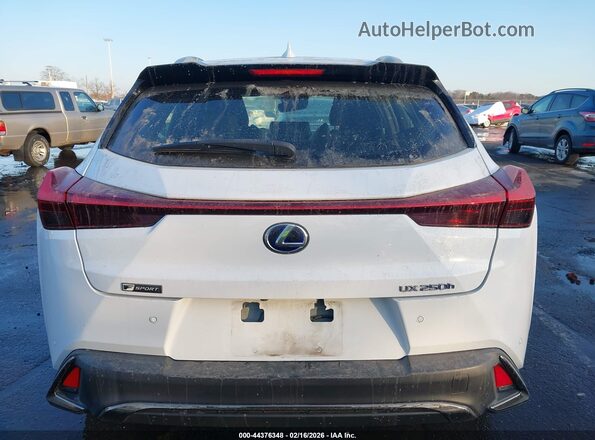 JTHR9JBH4L2025710 2020 LEXUS UX 250H Белый 