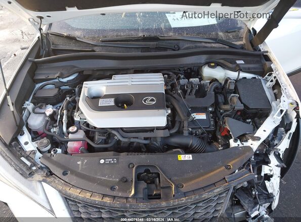 JTHR9JBH4L2025710 2020 LEXUS UX 250H Белый Вид сзади
