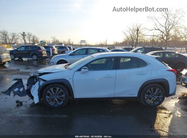 JTHR9JBH4L2025710 2020 LEXUS UX 250H Белый Панорамный вид салона 360°