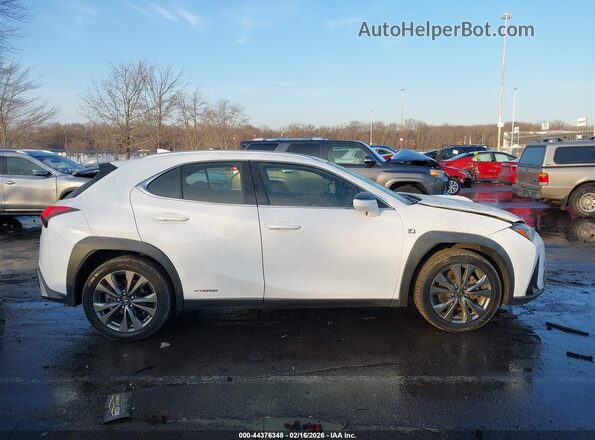 JTHR9JBH4L2025710 2020 LEXUS UX 250H Белый Вид задней части салона