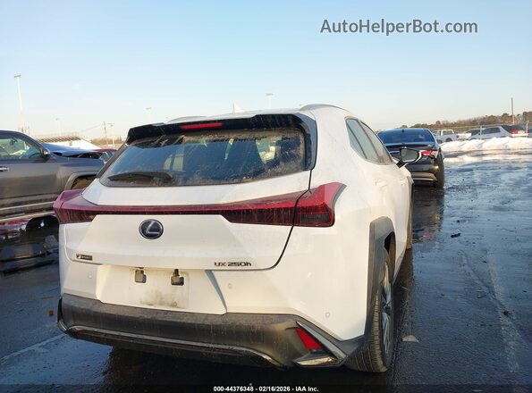 JTHR9JBH4L2025710 2020 LEXUS UX 250H Белый Задняя правая четверть