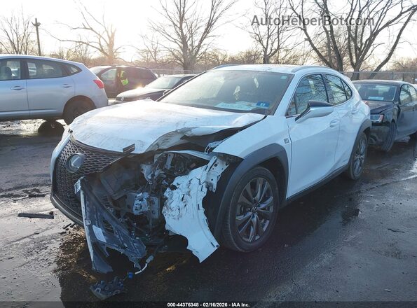 JTHR9JBH4L2025710 2020 LEXUS UX 250H Белый Вид спереди