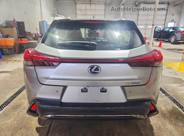 JTHR9JBH5N2061408 2022 LEXUS UX Желто-коричневый Вид сзади