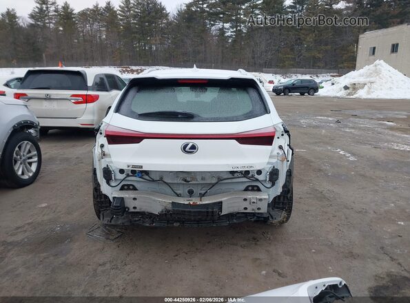 JTHR9JBH7M2039067 2021 LEXUS UX 250H White 