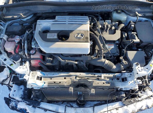 JTHR9JBH8M2043466 2021 LEXUS UX Белый Вид задней части салона