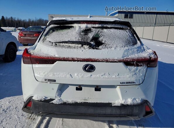 JTHR9JBH8M2043466 2021 LEXUS UX Белый Вид сзади