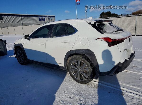 JTHR9JBH8M2043466 2021 LEXUS UX Белый Задняя левая четверть