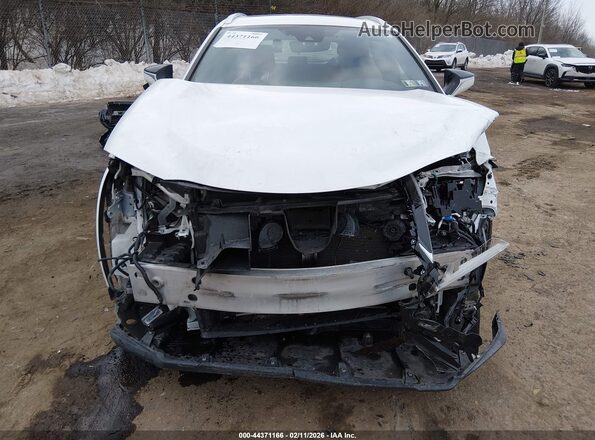 JTHR9JBH9N2055711 2022 LEXUS UX 250H Белый Вид спереди