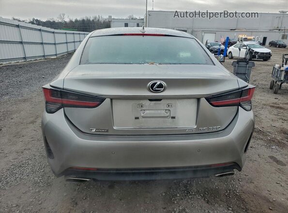 JTHSZ5DC3L5010012 2020 LEXUS RC Серый Вид сзади