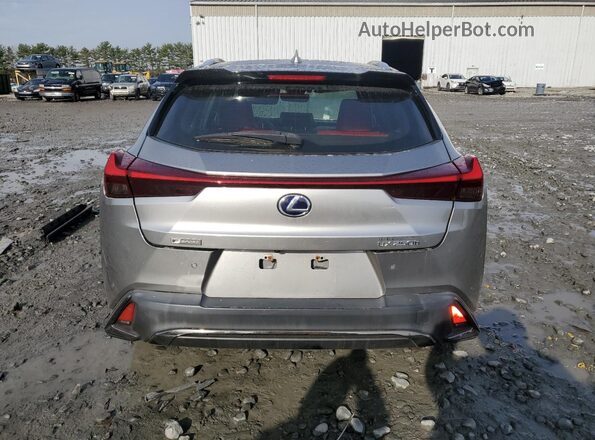 JTHU9JBH4K2002047 2019 LEXUS UX Серебряный Вид сзади
