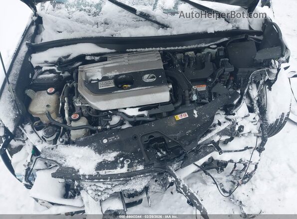 JTHU9JBH4K2018281 2019 LEXUS UX 250H Черный Вид сзади