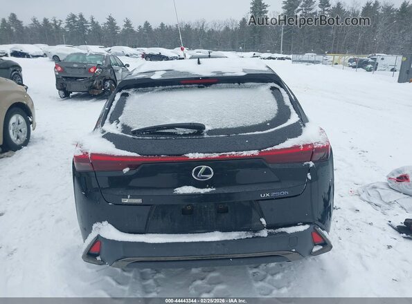JTHU9JBH4K2018281 2019 LEXUS UX 250H Черный 