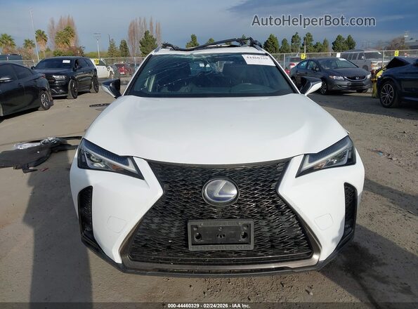 JTHU9JBH8K2002990 2019 LEXUS UX 250H Белый Вид задней части салона
