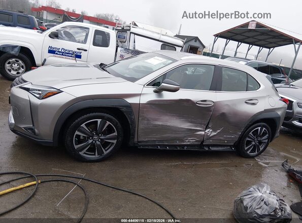 JTHU9JBH9K2016719 2019 LEXUS UX 250H Серый Панорамный вид салона 360°