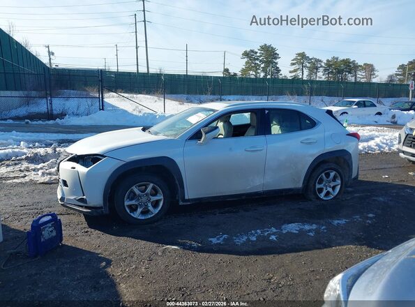 JTHX3JBH5M2036273 2021 LEXUS UX 200 Белый Панорамный вид салона 360°
