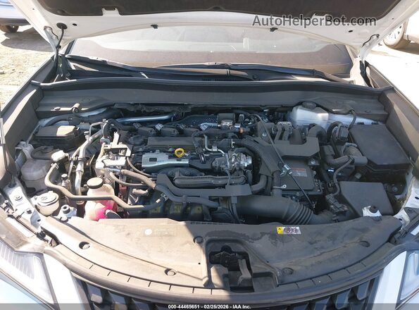 JTHX6JBH0R2167805 2024 LEXUS UX 250H White Widok z tyłu
