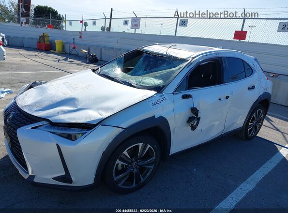 JTHX6JBH9P2152894 2023 LEXUS UX 250H Белый Вид спереди