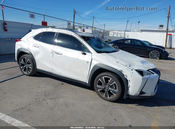 JTHX6JBH9P2152894 2023 LEXUS UX 250H Белый Передняя правая четверть