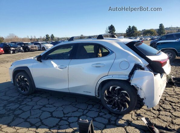 JTHX9JBH2N2059414 2022 LEXUS UX Белый Задняя левая четверть