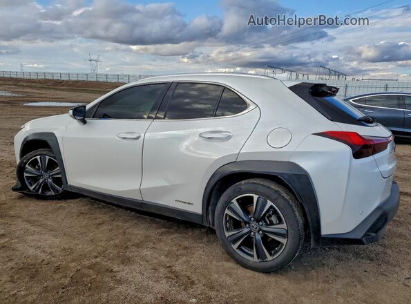 JTHX9JBH2N2062216 2022 LEXUS UX White Trasero izquierdo