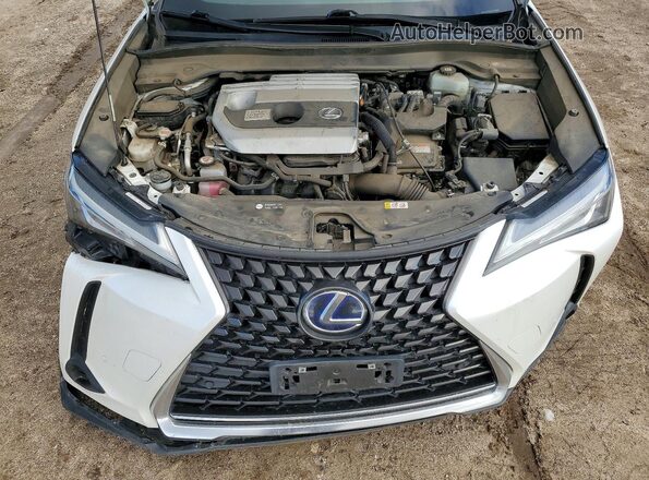 JTHX9JBH2N2062216 2022 LEXUS UX White Vista interior trasera