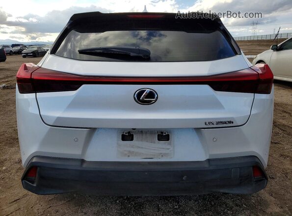 JTHX9JBH2N2062216 2022 LEXUS UX White Vista trasera