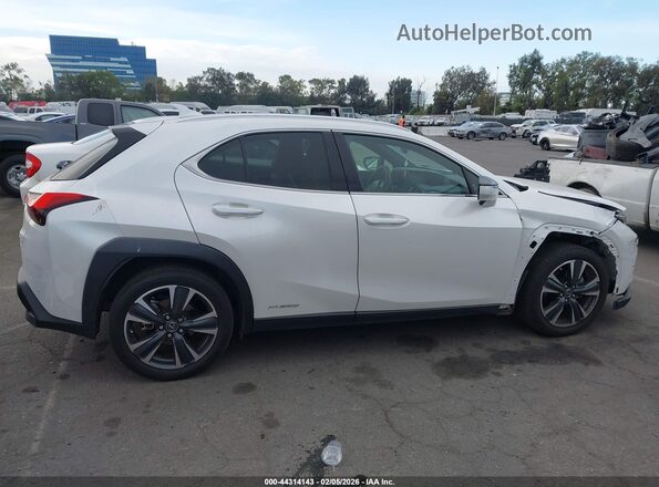 JTHX9JBH7M2050691 2021 LEXUS UX 250H Белый Вид задней части салона