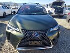 2022 Lexus Ux 250h Base Зеленый vin: JTHX9JBH9N2060852