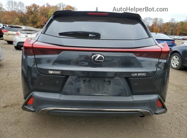 JTHY3JBH3K2006013 2019 LEXUS UX Black Widok z tyłu