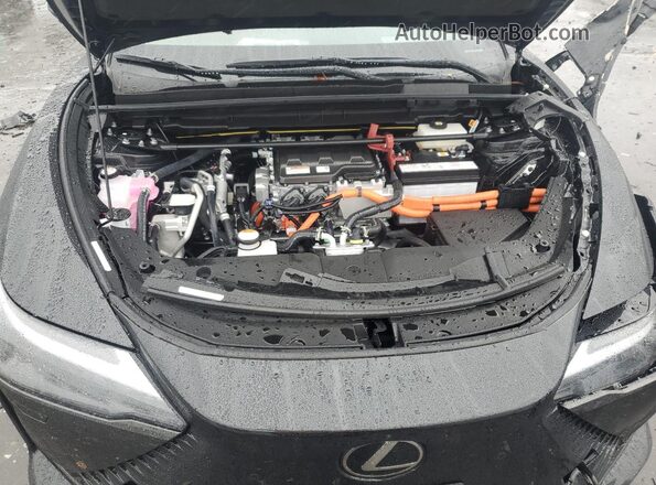 JTJAAAAB9SA030907 2025 LEXUS RZ Черный Вид задней части салона