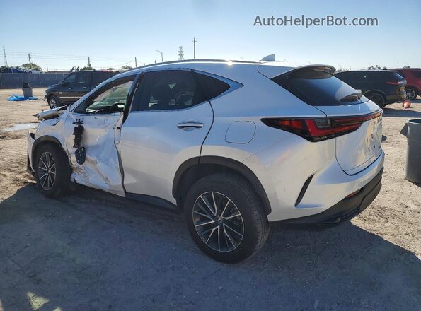 JTJADCAZ0R5013755 2024 LEXUS NX Белый Задняя левая четверть
