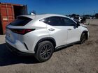 2024 Lexus Nx 250 Base Белый vin: JTJADCAZ0R5013755