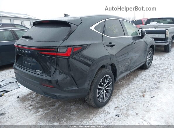 JTJADCEZ4N5000222 2022 LEXUS NX 250 Черный Задняя правая четверть