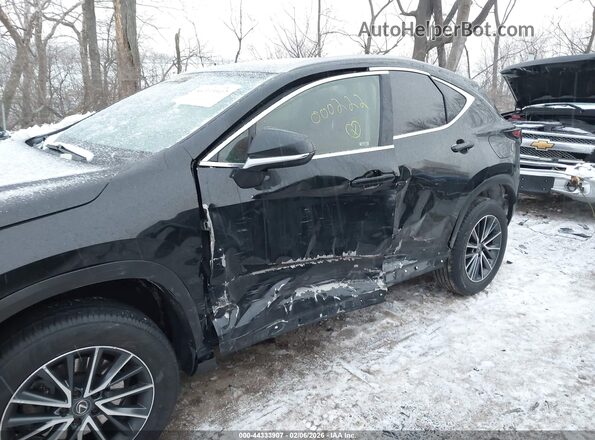JTJADCEZ4N5000222 2022 LEXUS NX 250 Черный Вид спереди