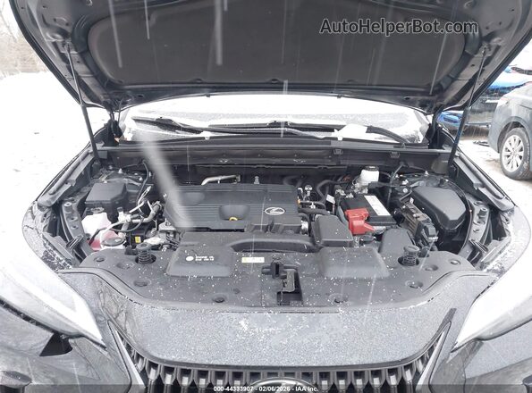 JTJADCEZ4N5000222 2022 LEXUS NX 250 Черный Вид сзади