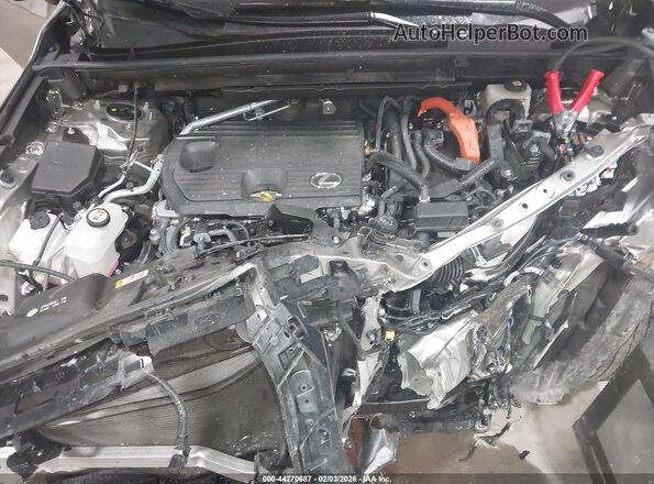 JTJAKCEZ2S5028053 2025 LEXUS NX 350H Gray Vista trasera