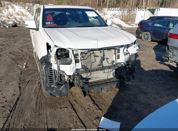 JTJAM7BX1P5340103 2023 LEXUS GX 460 Белый Вид спереди