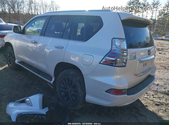 JTJAM7BX1P5340103 2023 LEXUS GX 460 Белый Задняя левая четверть
