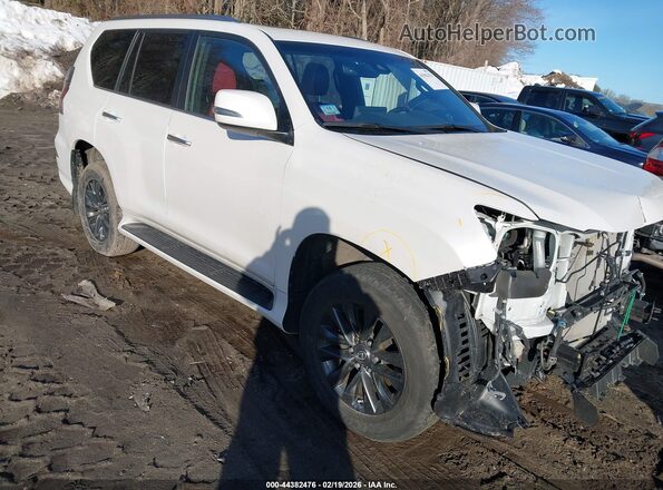 JTJAM7BX1P5340103 2023 LEXUS GX 460 Белый Передняя правая четверть